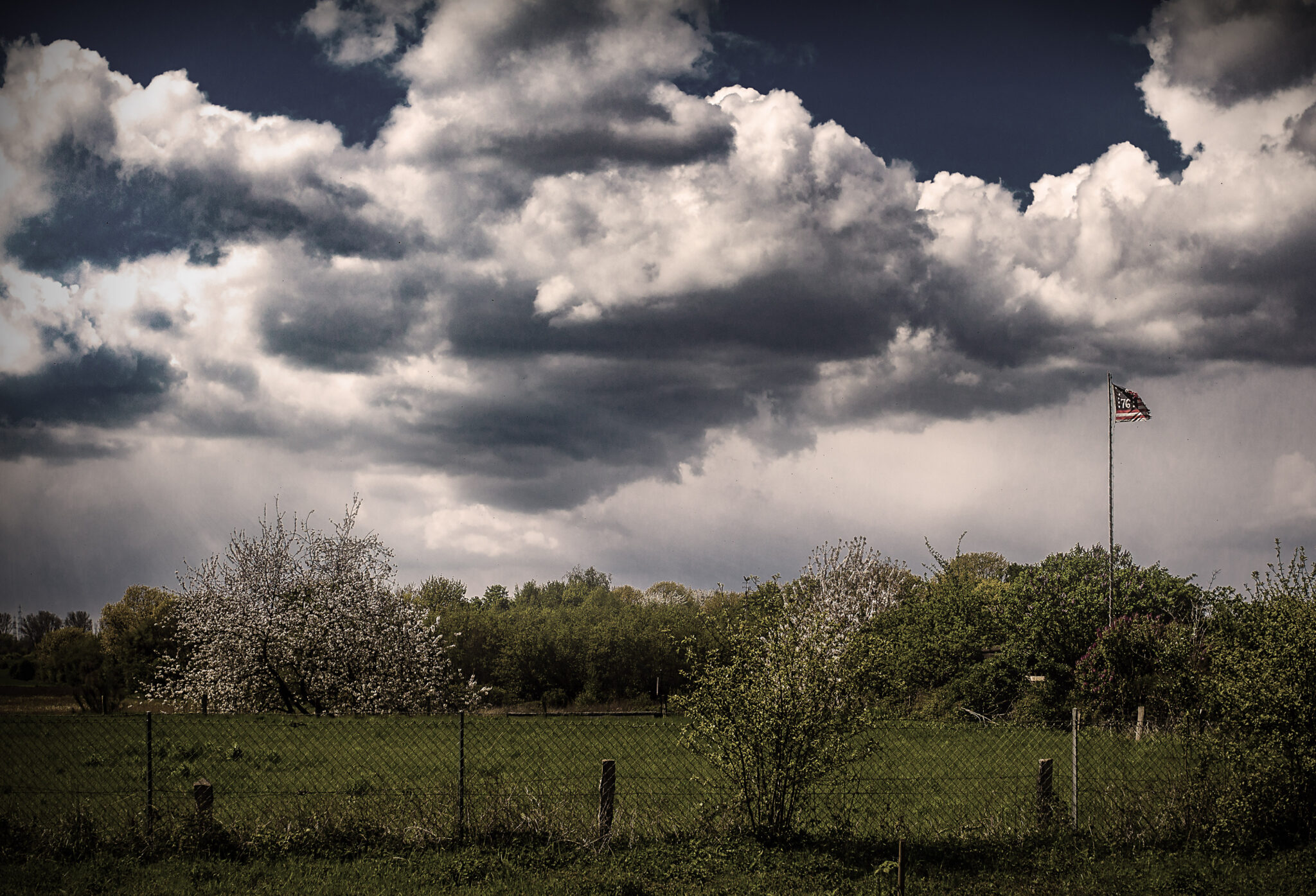 Zerrissene Flagge unter dramatischem Himmel über blühender Landschaft.