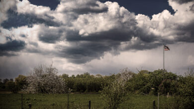 Zerrissene Flagge unter dramatischem Himmel über blühender Landschaft.